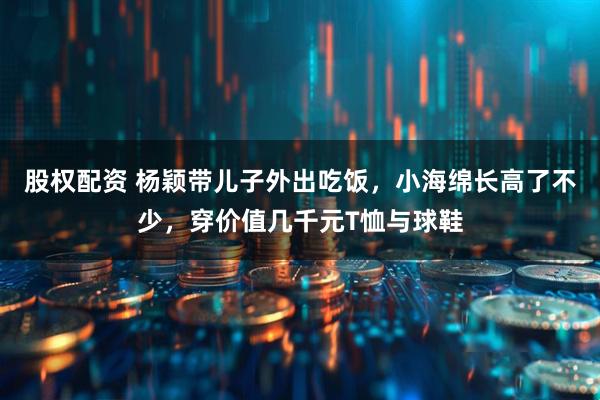 股权配资 杨颖带儿子外出吃饭，小海绵长高了不少，穿价值几千元T恤与球鞋