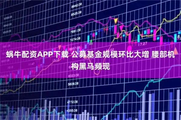 蜗牛配资APP下载 公募基金规模环比大增 腰部机构黑马频现
