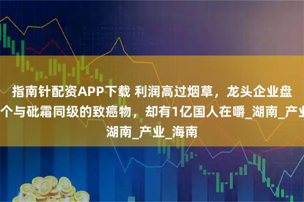 指南针配资APP下载 利润高过烟草，龙头企业盘踞：这个与砒霜同级的致癌物，却有1亿国人在嚼_湖南_产业_海南